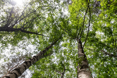 Similar image 21175708