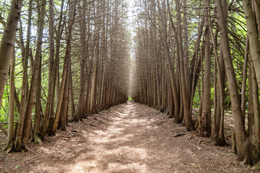 Similar image 21174876