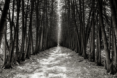 Similar image 21174877