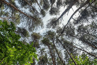 Similar image 21174880