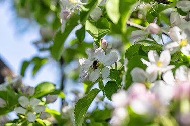 Similar image 21175711