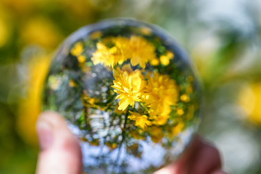 Similar image 21175716