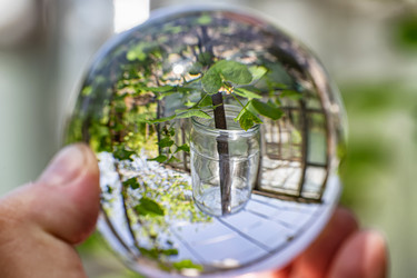 Similar image 21175762