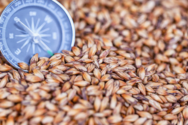 Similar image 21175769