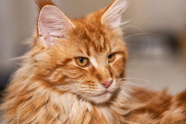 Similar image 21175770