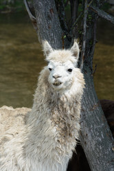 Similar image 21171505