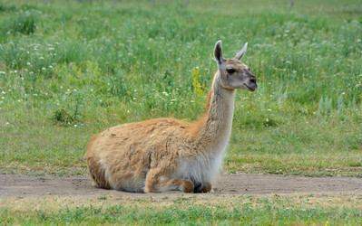 Similar image 21171506