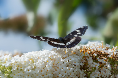 Similar image 21171518