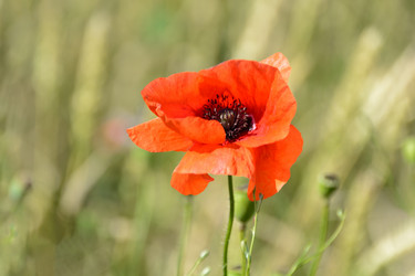 Similar image 21171519