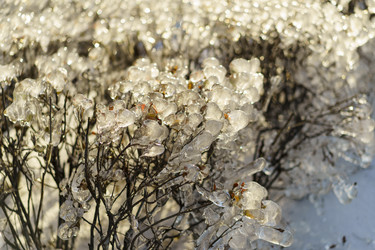 Similar image 21181948