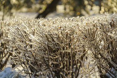 Similar image 21174188