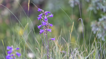 Similar image 21174336