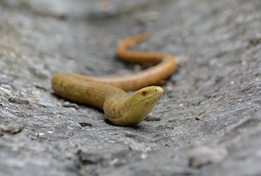 Similar image 21171530