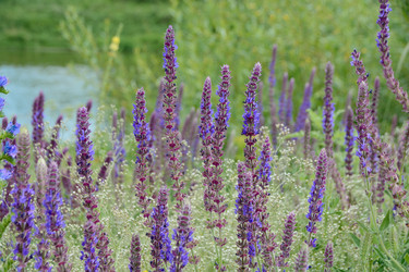 Similar image 21171535