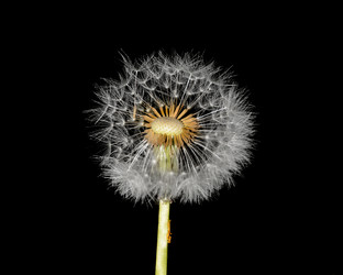 Similar image 21171536