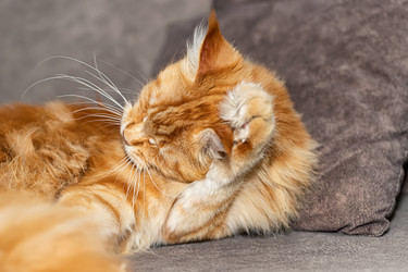 Similar image 21175773