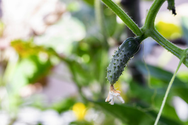 Similar image 21175774