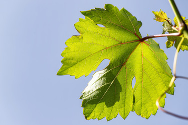 Similar image 21175776