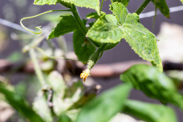 Similar image 21175778