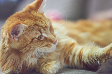 Similar image 21175782