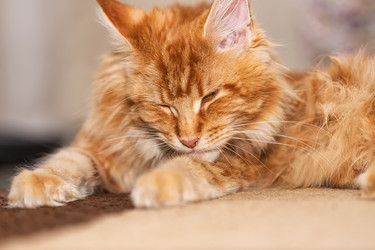 Similar image 21175786