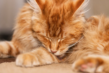 Similar image 21175801