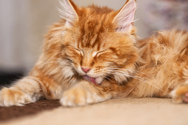 Similar image 21175803