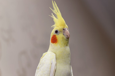 Similar image 21175647