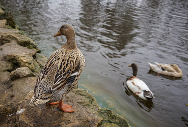 Similar image 21173979