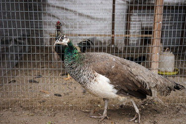 Similar image 21173981