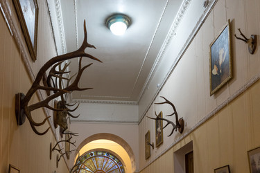 Similar image 21173985