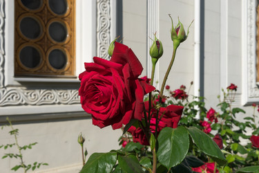 Similar image 21173990