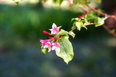 Similar image 21173991