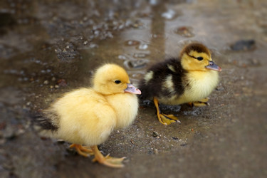 Similar image 21173995