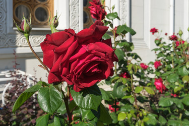 Similar image 21173997