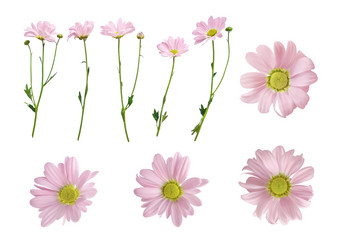 Similar image 21180291