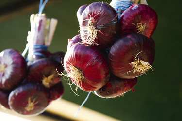 Similar image 21174203