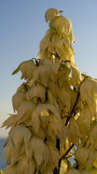 Similar image 21177941