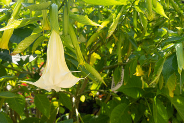 Similar image 21174348