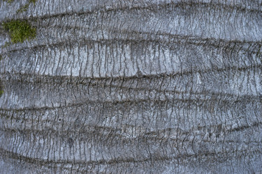 Similar image 21177944