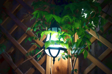 Similar image 21174356