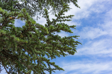 Similar image 21174357