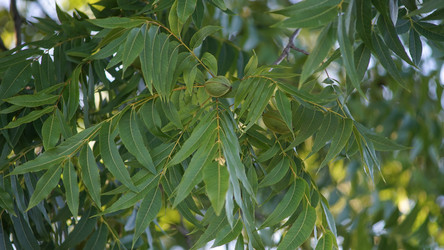 Similar image 21174360