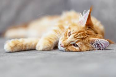 Similar image 21175817