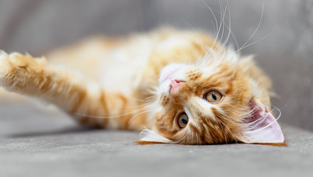 Similar image 21175818