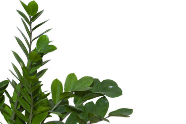 Similar image 21170340