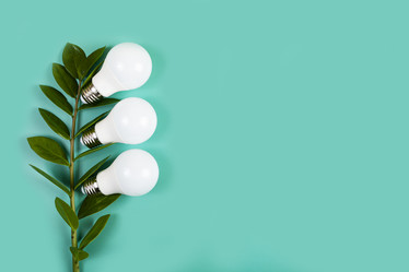 Similar image 21170355