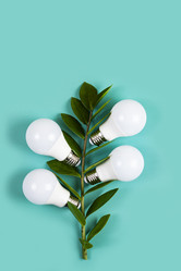 Similar image 21170359