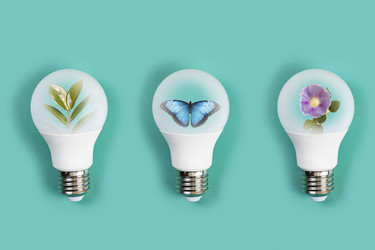 Similar image 21170360