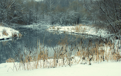 Similar image 21171540